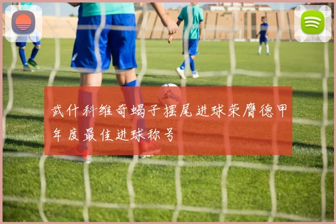 武什科维奇蝎子摆尾进球荣膺德甲年度最佳进球称号