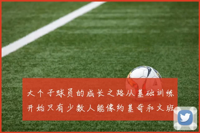 大个子球员的成长之路从基础训练开始只有少数人能像约基奇和文班那样成功