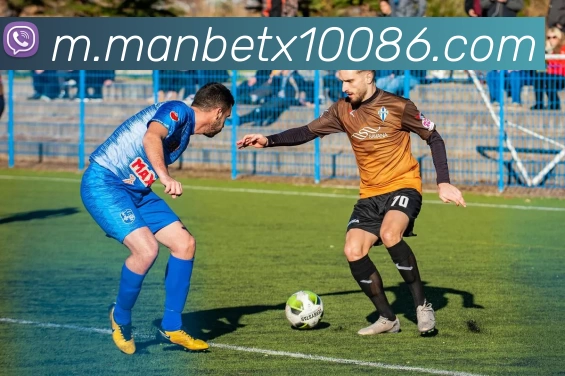 万博体育APP 高清赛事图